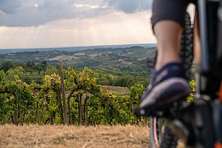 E-bike in Monforte d'Alba