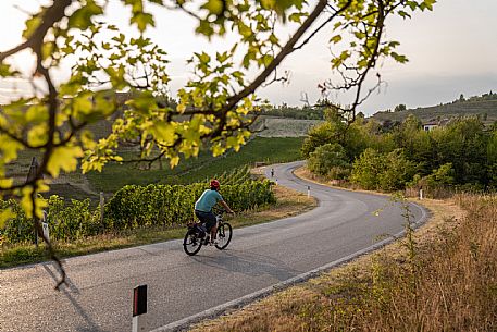 E-bike in Monforte d'Alba