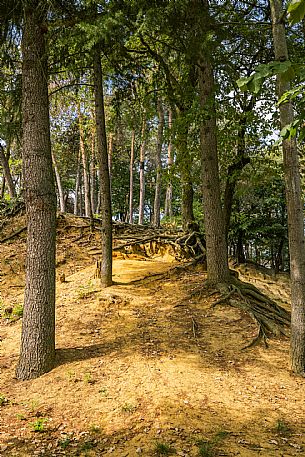 Religious Path - Montà 