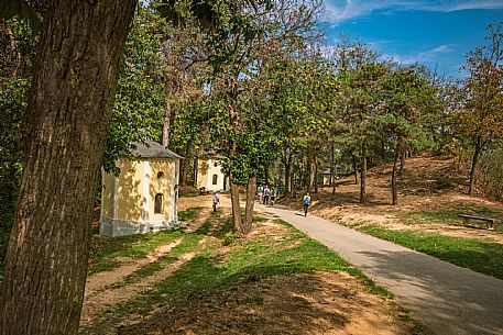 Religious Path - Montà 