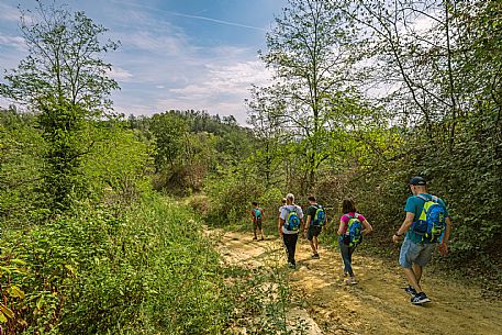 Roero - Trekking