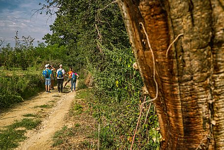 Roero - Trekking