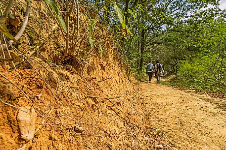 Roero - Trekking