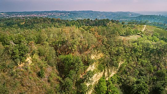 Roero Landscape