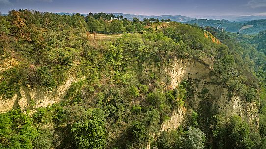 Roero Landscape