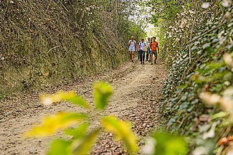 Roero - Trekking