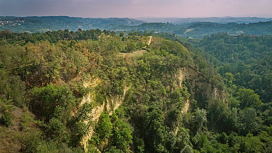 Roero Landscape