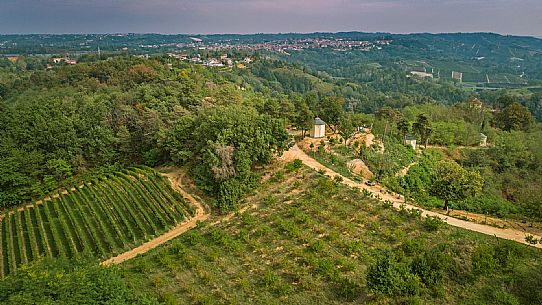 Roero Landscape