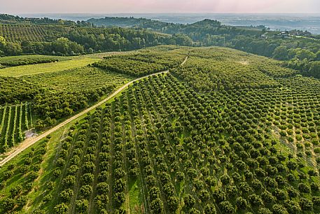 Langhe Monferrato Roero Landscape