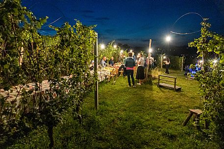 Dinner in the Vineyard