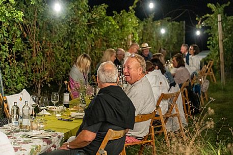 Dinner in the Vineyard