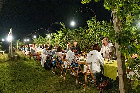 Dinner in the Vineyard