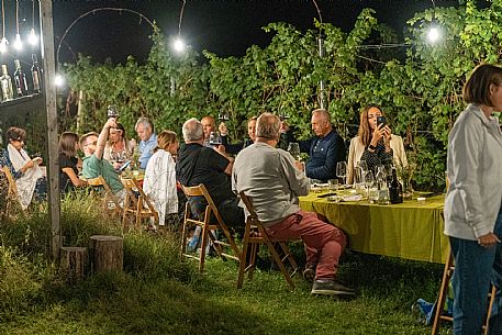 Dinner in the Vineyard