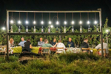 Dinner in the Vineyard