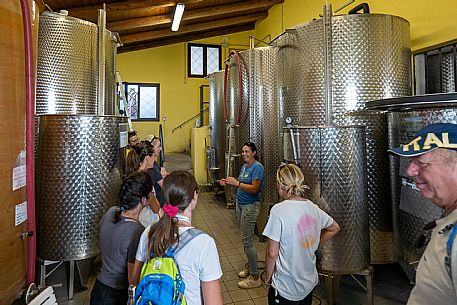 Educational Grape Harvest