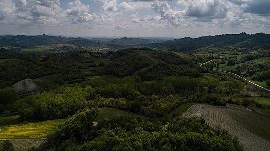 Monferrato Landscape