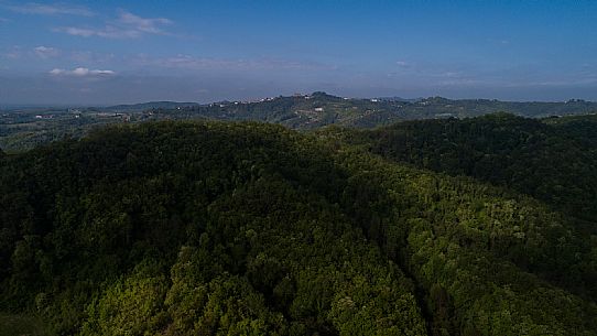 Monferrato Landscape