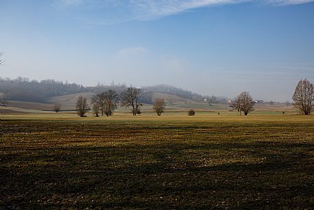 Monferrato Landscape