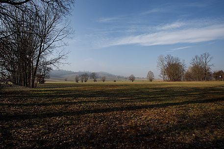 Monferrato Landscape