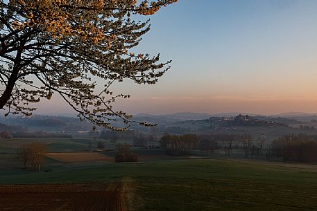 Monferrato Landscape