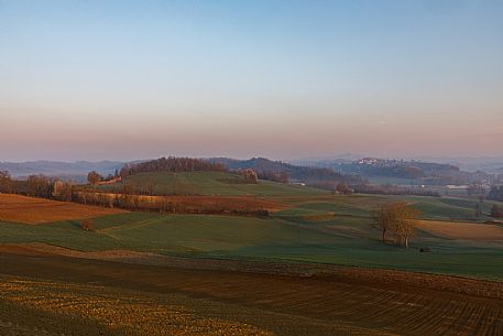 Monferrato Landscape