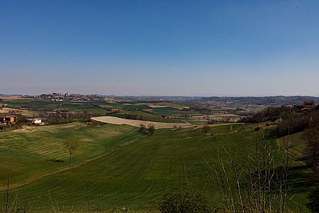 Monferrato Landscape