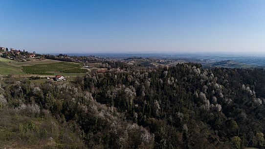 Monferrato Landscape