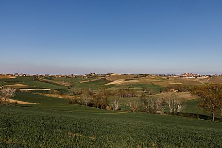 Monferrato Landscape