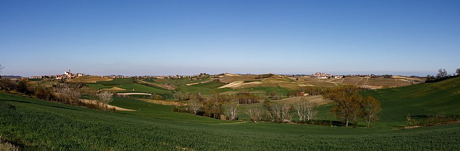 Monferrato Landscape