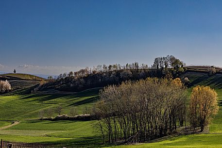 Monferrato Landscape