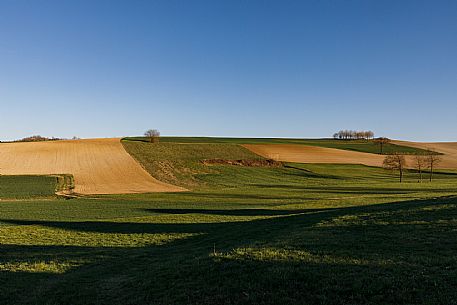 Monferrato Landscape