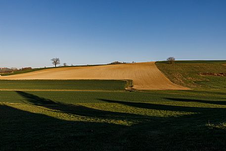 Monferrato Landscape