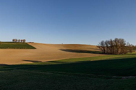 Monferrato Landscape