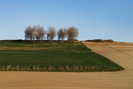 Monferrato Landscape