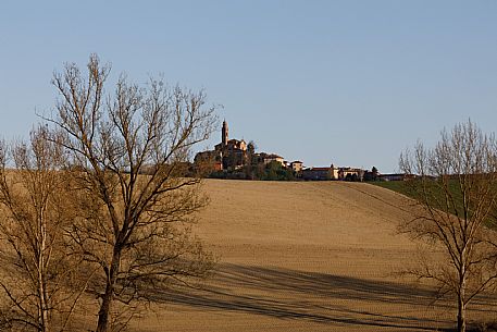 Monferrato Landscape