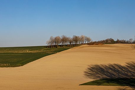 Monferrato Landscape