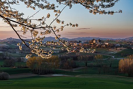 Monferrato Landscape