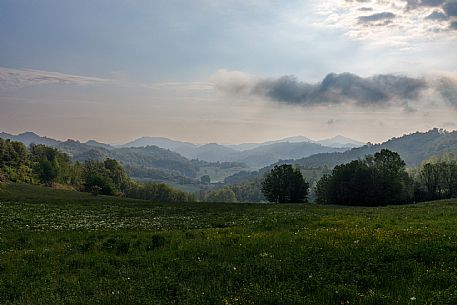 Monferrato Landscape