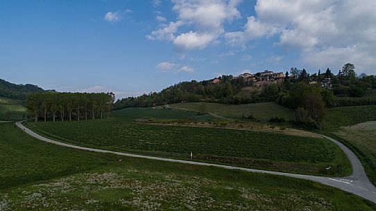 Monferrato Landscape