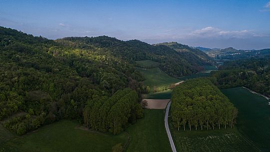 Monferrato Landscape