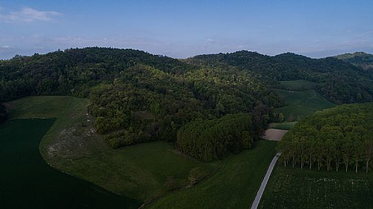 Monferrato Landscape