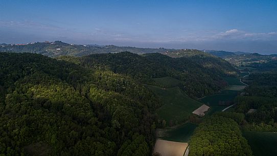 Monferrato Landscape