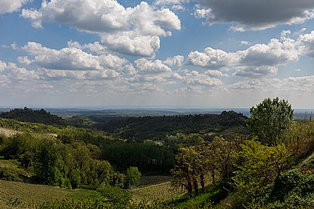 Monferrato Landscape