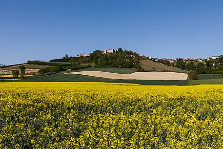 Monferrato Landscape