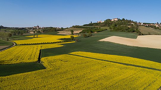 Monferrato Landscape