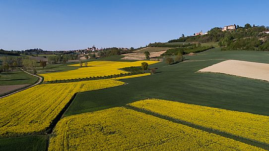 Monferrato Landscape