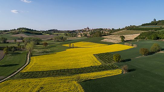 Monferrato Landscape