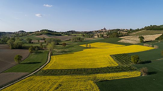 Monferrato Landscape