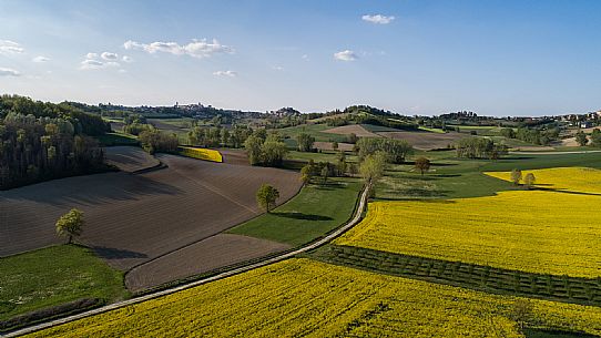 Monferrato Landscape