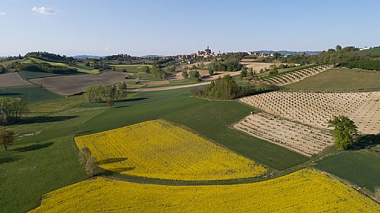 Monferrato Landscape